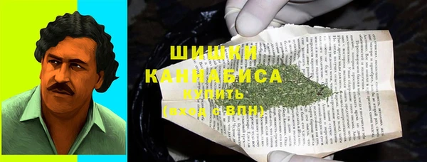 стафф Вязьма
