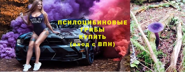 стафф Медвежьегорск