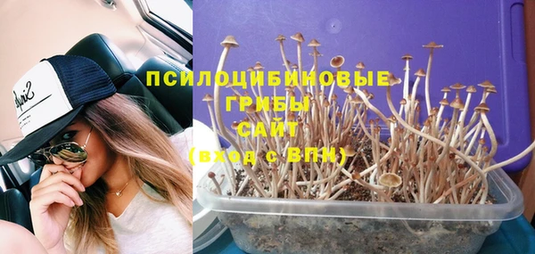 стафф Медвежьегорск