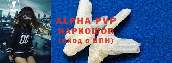 стафф Вязьма