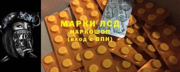 стафф Вязьма